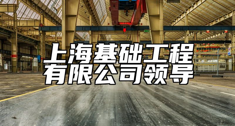 上海基础工程有限公司领导