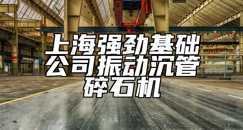 上海强劲基础公司振动沉管碎石机