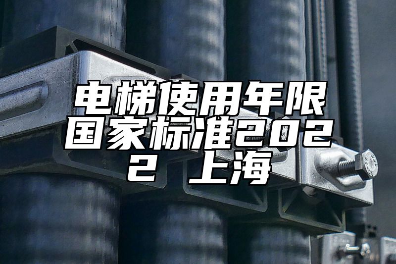 电梯使用年限国家标准2022 上海