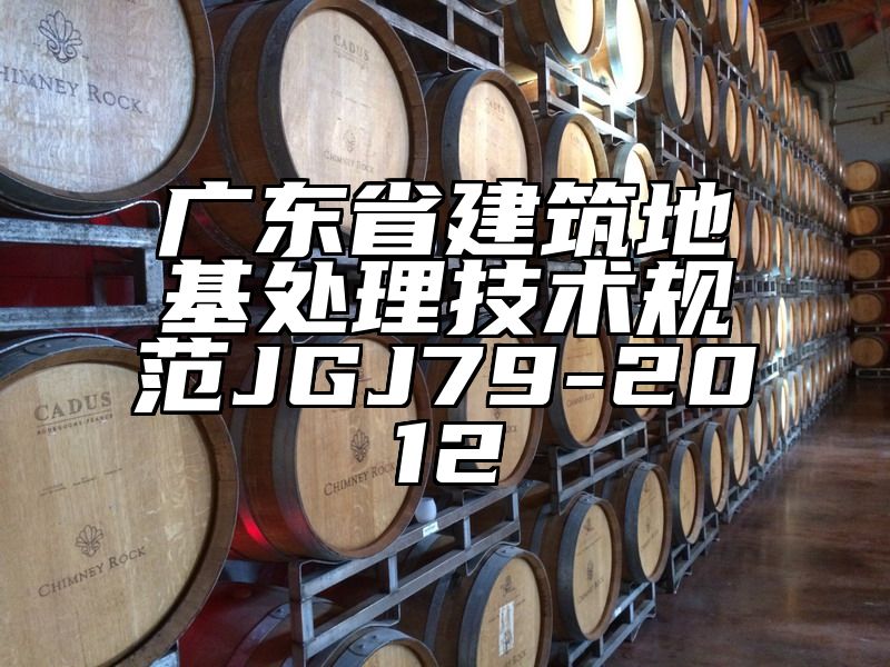 广东省建筑地基处理技术规范JGJ79-2012